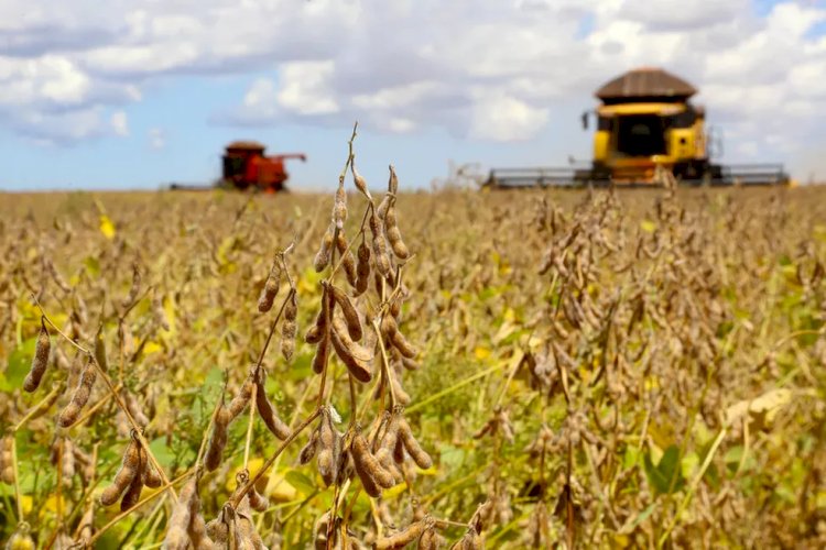 PIB da Agropecuária fecha 2022 com queda de 1,7%