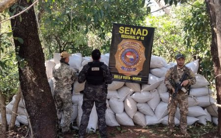 SENAD apreende na fronteira maconha que seria enviada para o Brasil