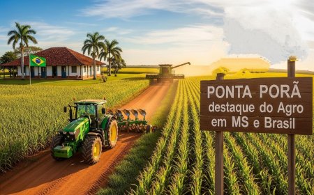 Ponta Porã: A Força Gigante do Agro que Impulsiona o Desenvolvimento no Coração do MS