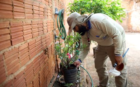 7.865 casos confirmados de dengue em Mato Grosso do Sul em 2025