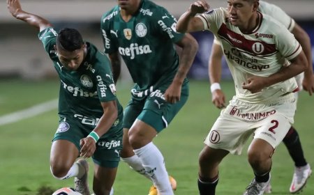Libertadores: Palmeiras segura empate e segue para quartas