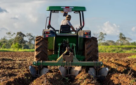 Comissão define: Desapropriação para reforma agrária somente com infraestrutura mínima