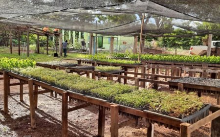 Abertas inscrições para curso ajudante de campo e viveiro