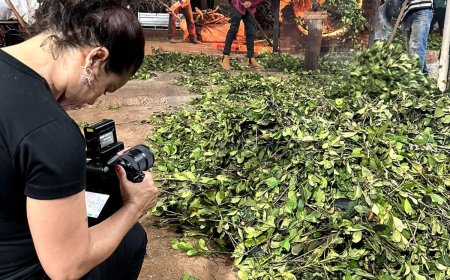 Filme sobre ciclo da erva-mate no MS estreia nesta quarta-feira em Ponta Porã