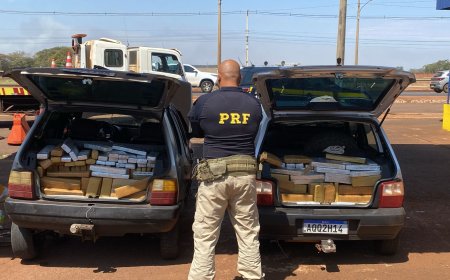 PRF apreende mais de 800 kg de maconha