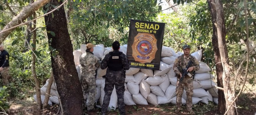 SENAD apreende na fronteira maconha que seria enviada para o Brasil