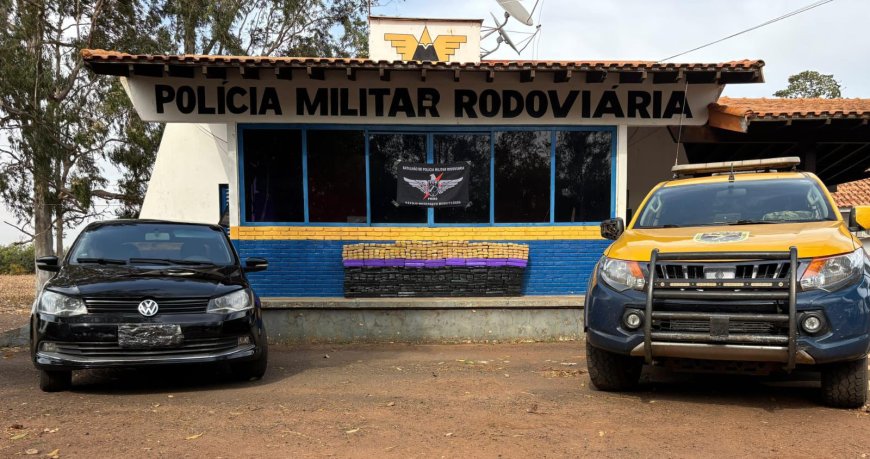 PMR prende homem com quase 400 kg de maconha em Aral Moreira