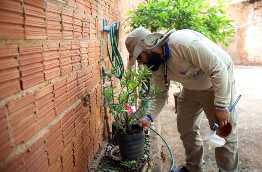 7.865 casos confirmados de dengue em Mato Grosso do Sul em 2025