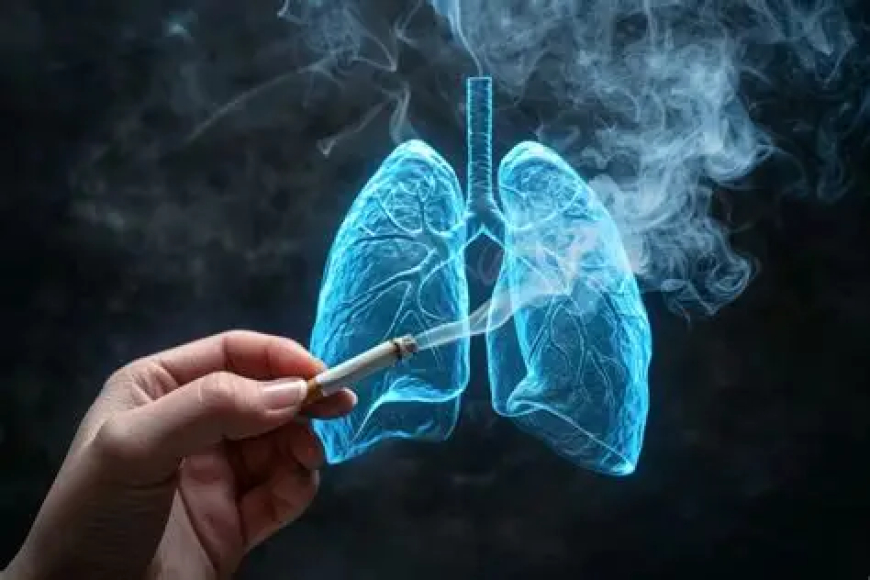 Não fumantes: Câncer de pulmão 15% dos casos acontecem em que não fuma