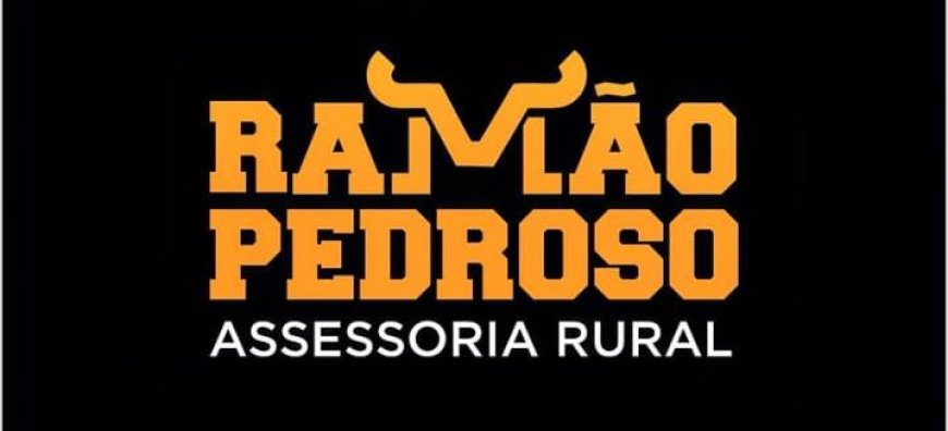 Ramão Pedroso Assessoria Rural: O Alicerce do Sucesso no Campo