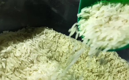 Apoio ao produtor: Conab destina mais R$300 milhões para compra de arroz