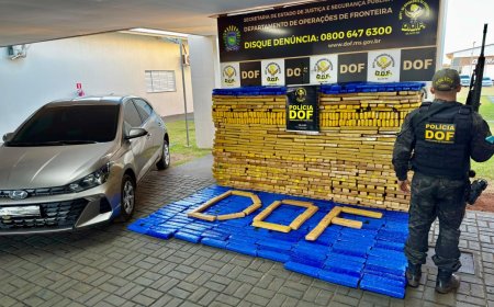 Apreensões de drogas pelo DOF crescem mais de 60%