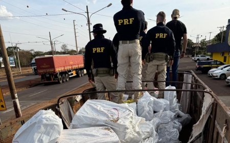 7.170 kg: Motorista de Ponta Porã é preso com caminhão lotado de maconha