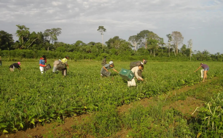 Agricultura familiar: Lista de desconto em crédito é ampliada