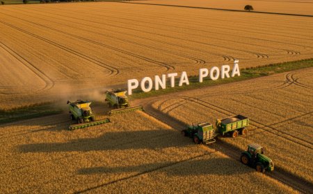 Ponta Porã: A Gigante do Agro em Ascensão Rumo ao Topo Nacional