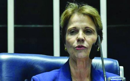 Pec da Blindagem: Bancada de MS no senado fecha contra