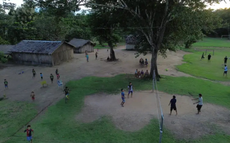 Estudo mostra que demarcar terras indígenas melhora saúde da população