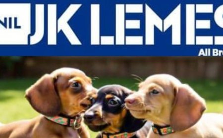 O Charme Pet Invade a Feira Agro de Angélica! Canil JK Lemes Leva Fofura e Inovação para o  evento