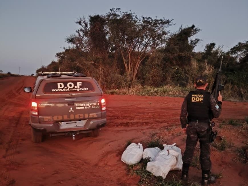 Motociclista abandona carga de skunk e foge para o Paraguai