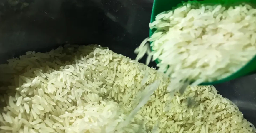 Apoio ao produtor: Conab destina mais R$300 milhões para compra de arroz