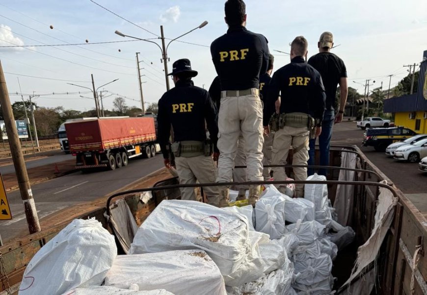 7.170 kg: Motorista de Ponta Porã é preso com caminhão lotado de maconha