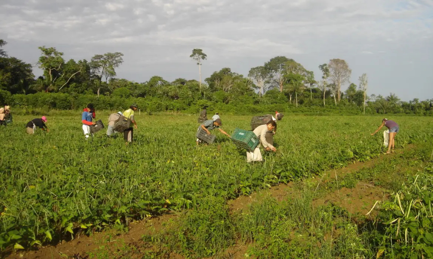Agricultura familiar: Lista de desconto em crédito é ampliada