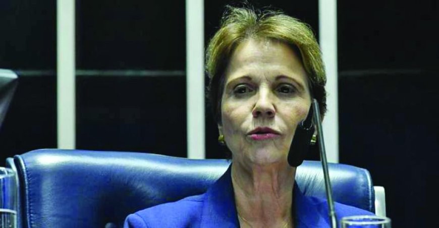Pec da Blindagem: Bancada de MS no senado fecha contra