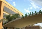 Lúpus e esclerose múltipla: Anvisa aprova medicamentos pediátricos
