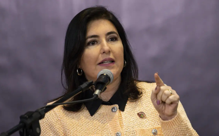 Diz Simone Tebet: Governo Federal acompanha tratativas para viabilizar nova ponte sobre o Rio Apa