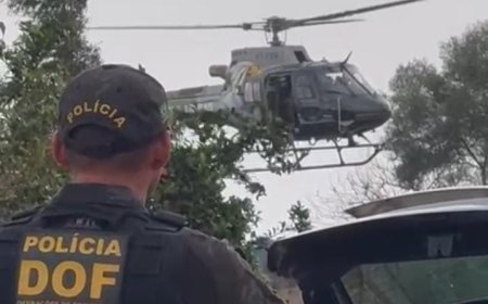 DOF localiza entreposto de contrabandistas e apreende 17 veículos carregados com materiais ilegais