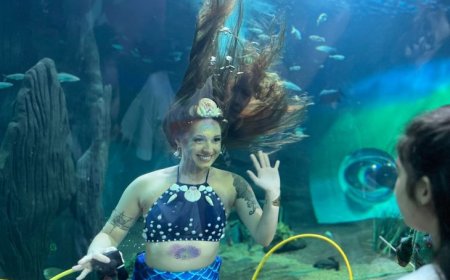 De passarinhada a mergulho de sereia e herói das águas: Bioparque divulga programação de sábado