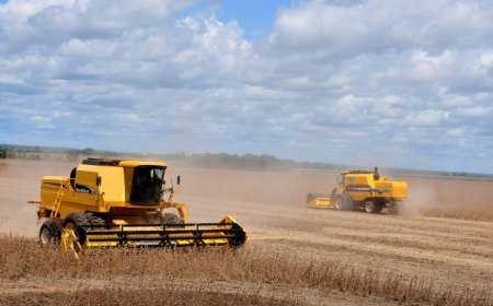 Celeiro para o mundo: MS se consolida como estado exportador de produtos para mais de 120 países