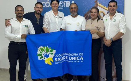 Secretaria de Estado de Saúde de MS avança em parceria internacional com Universidade de Córdoba