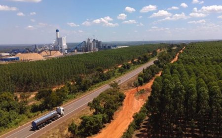Mercado internacional: MS mantém alta nas exportações e amplia presença