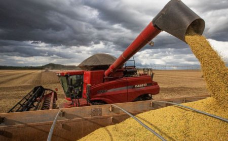Produtores pedem acordo comercial: Preço da soja despenca nos EUA com guerra comercial com a China