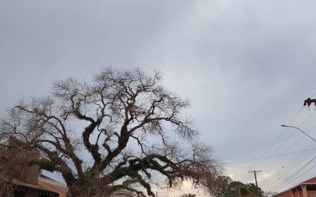 Queda de temperatura no Estado: Mudança no tempo traz chuvas isoladas