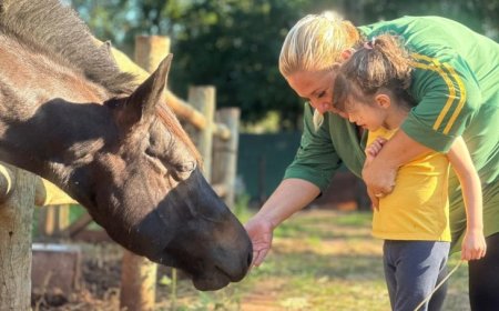 Equoterapia em Mato Grosso do Sul une saúde, inclusão e reabilitação para pessoas com deficiência