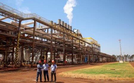 Setor de bioenergia é ‘portador do futuro’ dentro das políticas de transição energética do Governo de MS