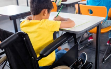 Educação Especial Inclusiva: Decreto institui nova Política Nacional