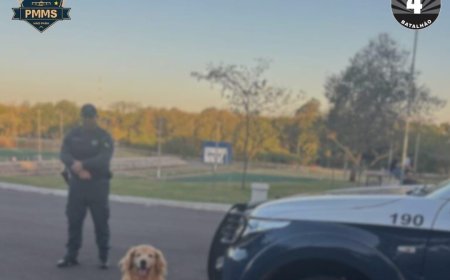Equipe Canil do 4° BPM cumpre mandado de prisão durante abordagem no centro de Ponta Porã