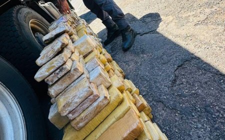 Motorista de Dourados e empresário de Campo Grande são presos com droga em São Paulo
