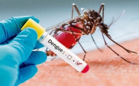 Mato Grosso do Sul em 2025: Dengue já soma mais de 8 mil casos confirmados