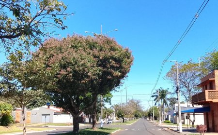 Nesta sexta-feira: Tempo segue quente e seco no Estado