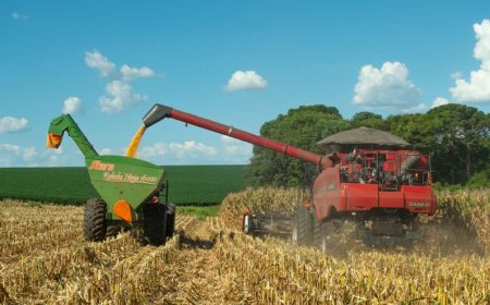 Com fim da colheita do milho: Frete agrícola registra queda no preços em Mato Grosso do Sul