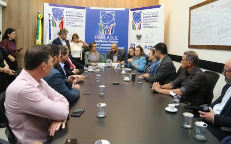 Parlamentares do Paraguai participam de reunião na Câmara de Ponta Porã