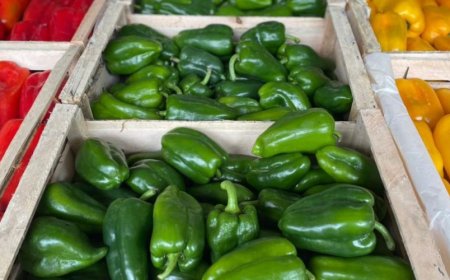 Na Ceasa/MS: Frutas e hortaliças têm variação de até 20% nos preços