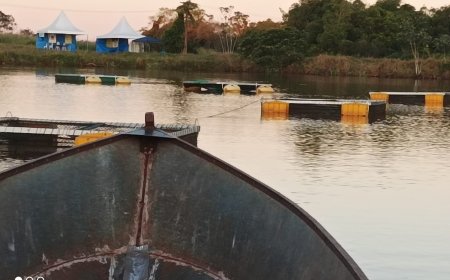 Piscicultura e Sustentabilidade é tema de mesa redonda na Ponta Agrotec 2025