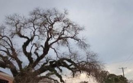 Nesta sexta: Alta pressão mantém tempo instável e ventos intensos em MS