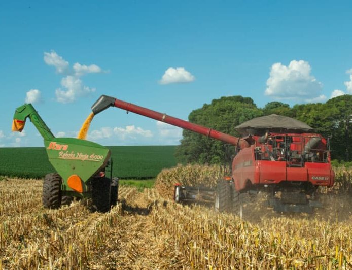 Números: Mesmo com recorde nominal, Plano Safra é alvo de críticas do setor rural