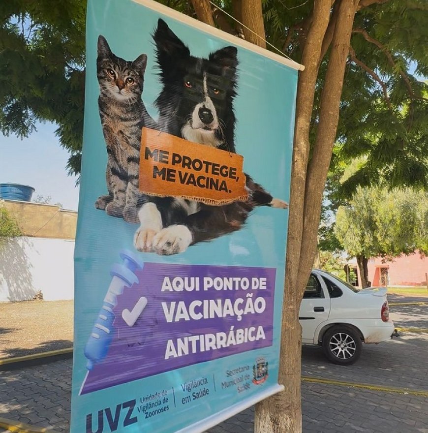 Campanha de vacinação antirrábica chega neste sábado na região sul de Ponta Porã